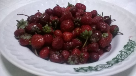 tiny delicious strawberries